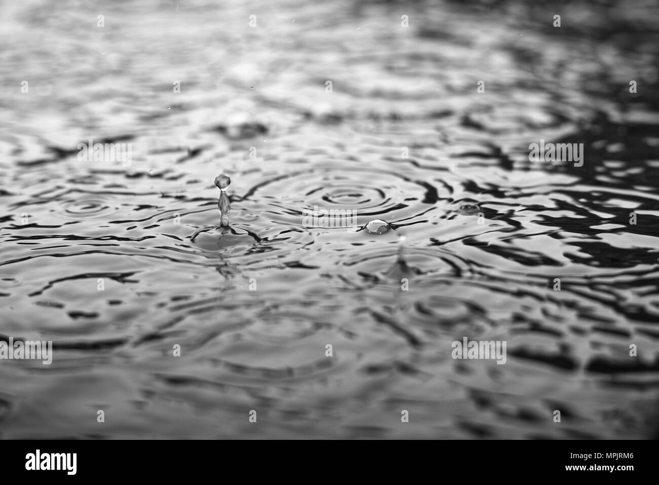 In bianco e nero le gocce di pioggia in piscina, il concetto di acqua Foto Stock