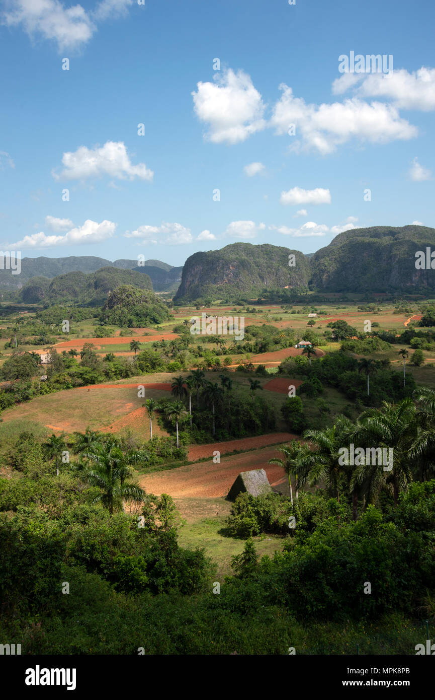 Il mogotes domina la Valle de Vinales nella coltivazione del tabacco campi di Cuba Foto Stock