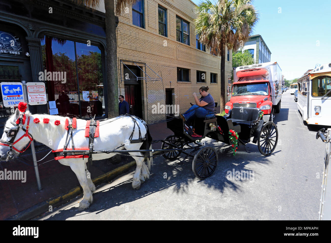 Tour in carrozza a cavallo nella città di Savannah, Georgia, Stati Uniti d'America Foto Stock