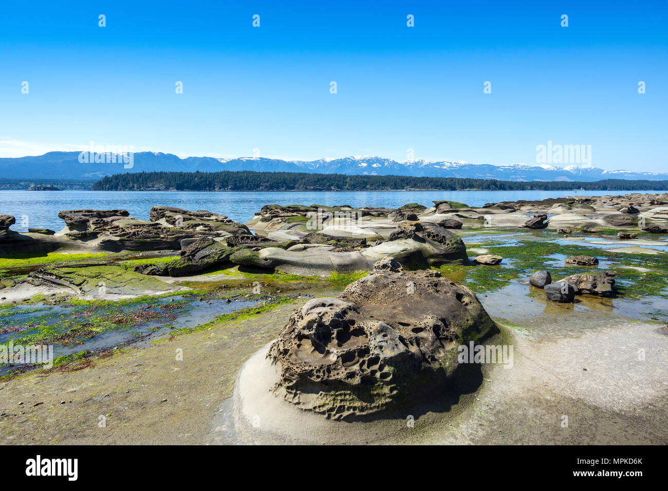 Acqua-roccia usurati - Heron rocce, Hornby Isola, BC, Canada. Foto Stock