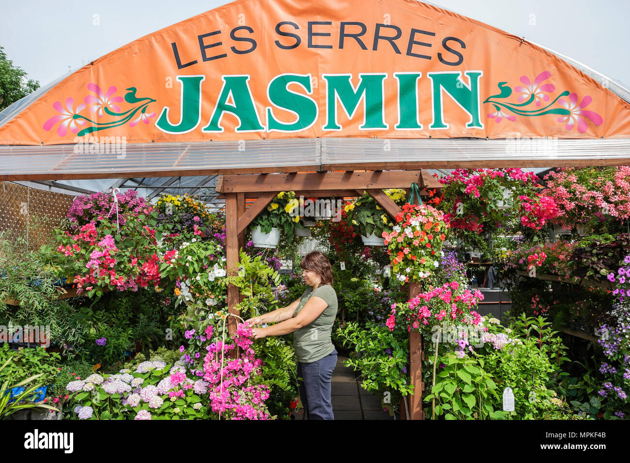 Montreal Canada,Quebec Province,mercato dell'acqua di Atwater,rue Saint Ambroise,vivaio,fiore,piante,donna arrangies femminile,cesti pendenti,Canada070704072 Foto Stock