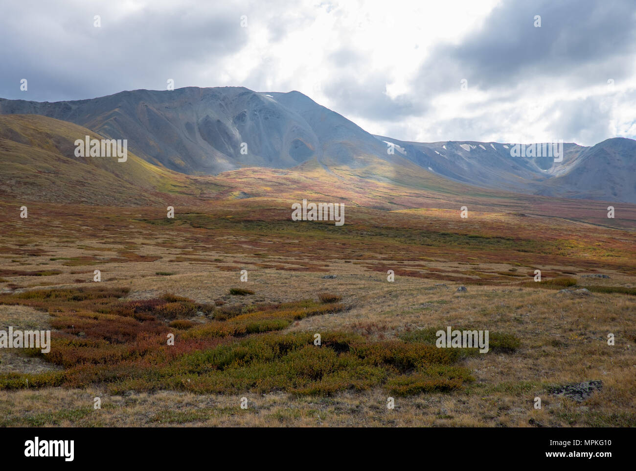 Paesaggio di montagna nella Repubblica di Altai. Foto Stock