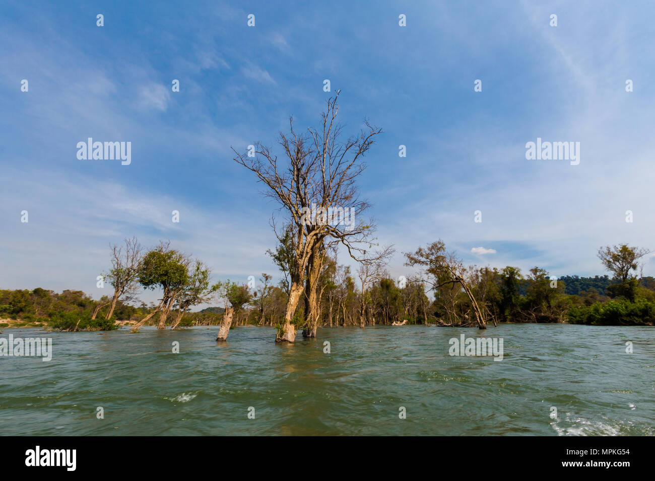 Irawaddy rari delfini in barca dalla spiaggia Khongyai su Don Khone isola nel sud Laos. Paesaggio scattate da barca su quattro migliaia di isole sul Mekhong Foto Stock