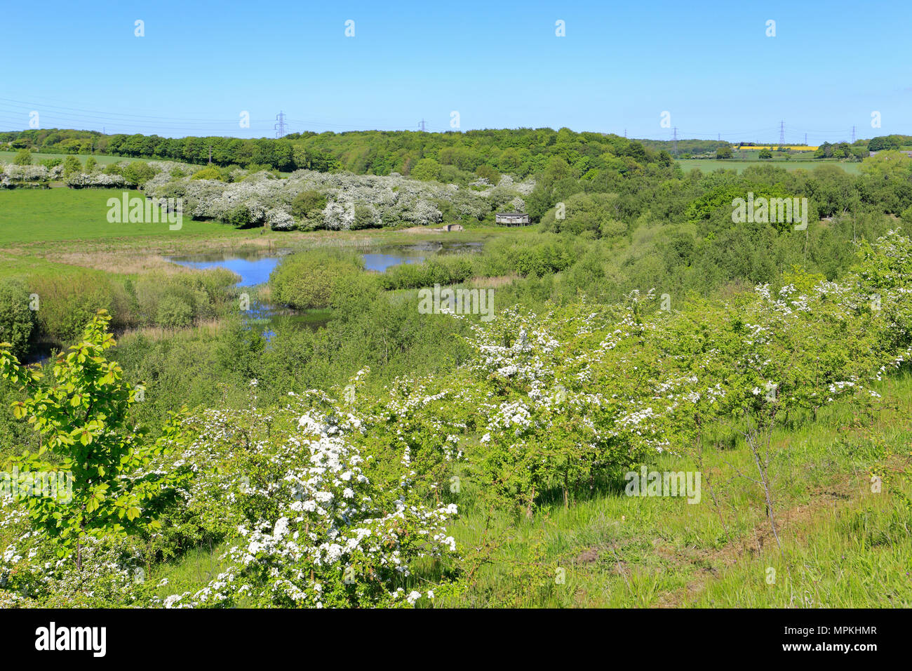 Aire Valley e riserva RSPB Fairburn Ings vicino a Castleford, West Yorkshire, Inghilterra, Regno Unito. Foto Stock