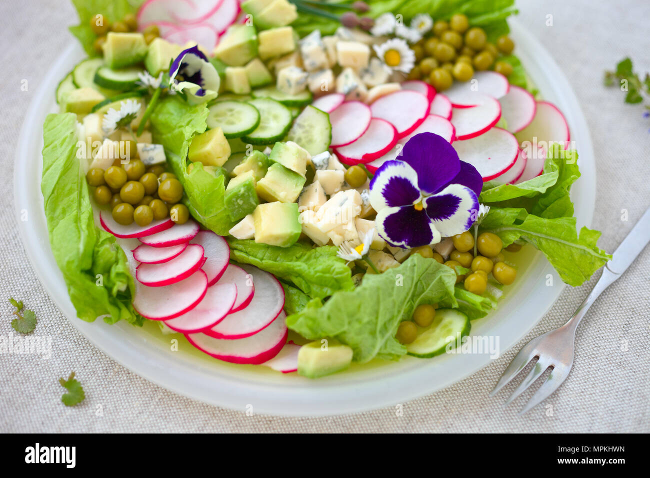 Molla insalata di rafano Foto Stock