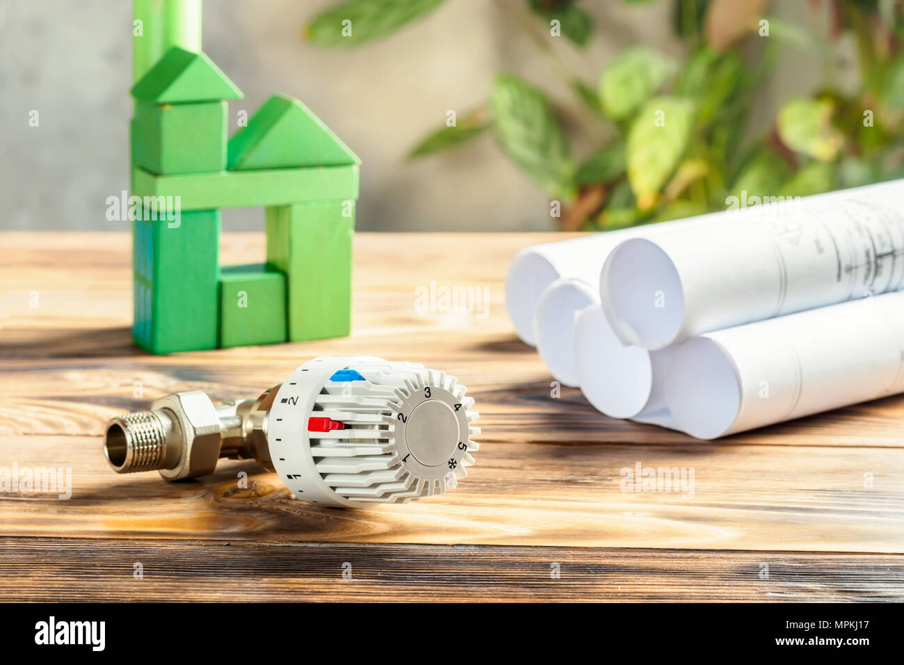 Testa termostatica valvola per Radiatore riscaldatore e green house di cubi su sfondo di legno riscaldamento Progetto di fornitura del calore Building Concept idea di ECO SUS Foto Stock