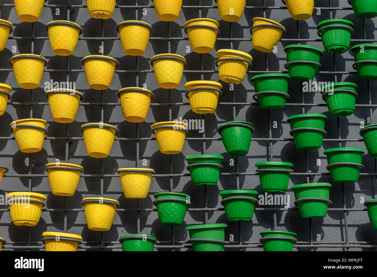 Vasi di fiori di giallo verde colori sulla parete di cemento come primavera, estate art decor. Moderno naturale sfondo grafico, tessitura Foto Stock