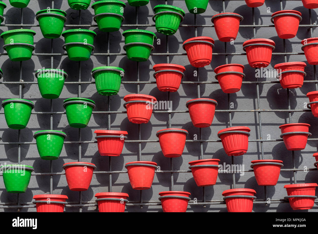 La decorazione parietale dalla griglia con verde, rosso fioriere sul muro di cemento. Moderna arte naturale sfondo, texture Foto Stock
