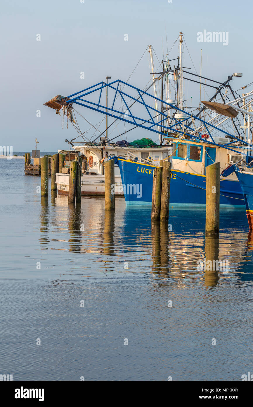 Barche commerciali di gamberetti presso il molo del porto artigianale di Biloxi, Mississippi, USA Foto Stock