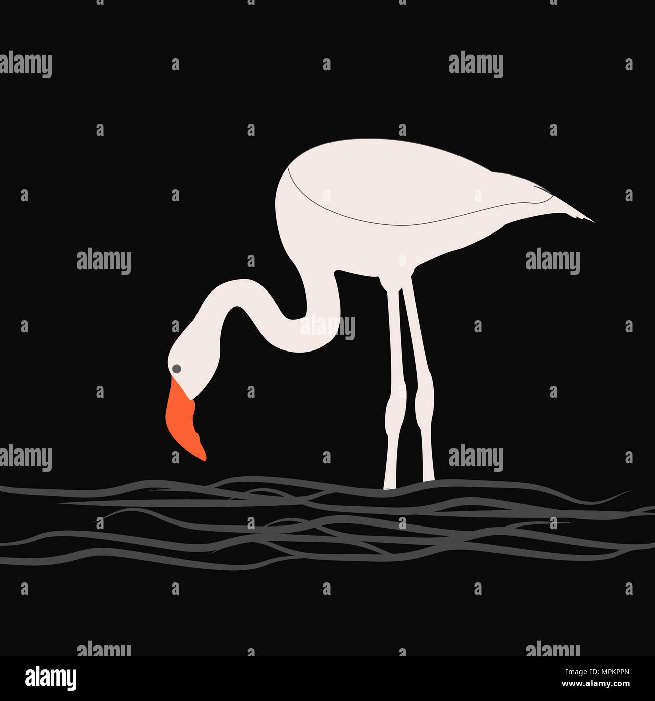 Flamingo su uno sfondo nero, estate illustrazione vettoriale, design piatto 10 eps Illustrazione Vettoriale
