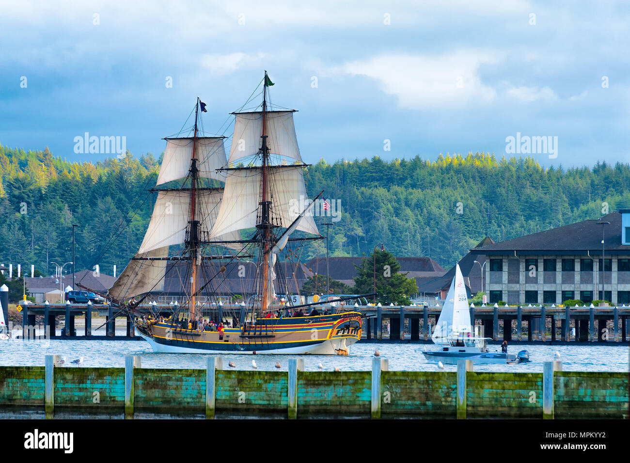 Newport, Oregon, Stati Uniti d'America - 25 Maggio 2016: Tall Ship Lady Washington vele in Yaquina Bay e unite da altre piccole barche a vela in Newport Oregon Foto Stock
