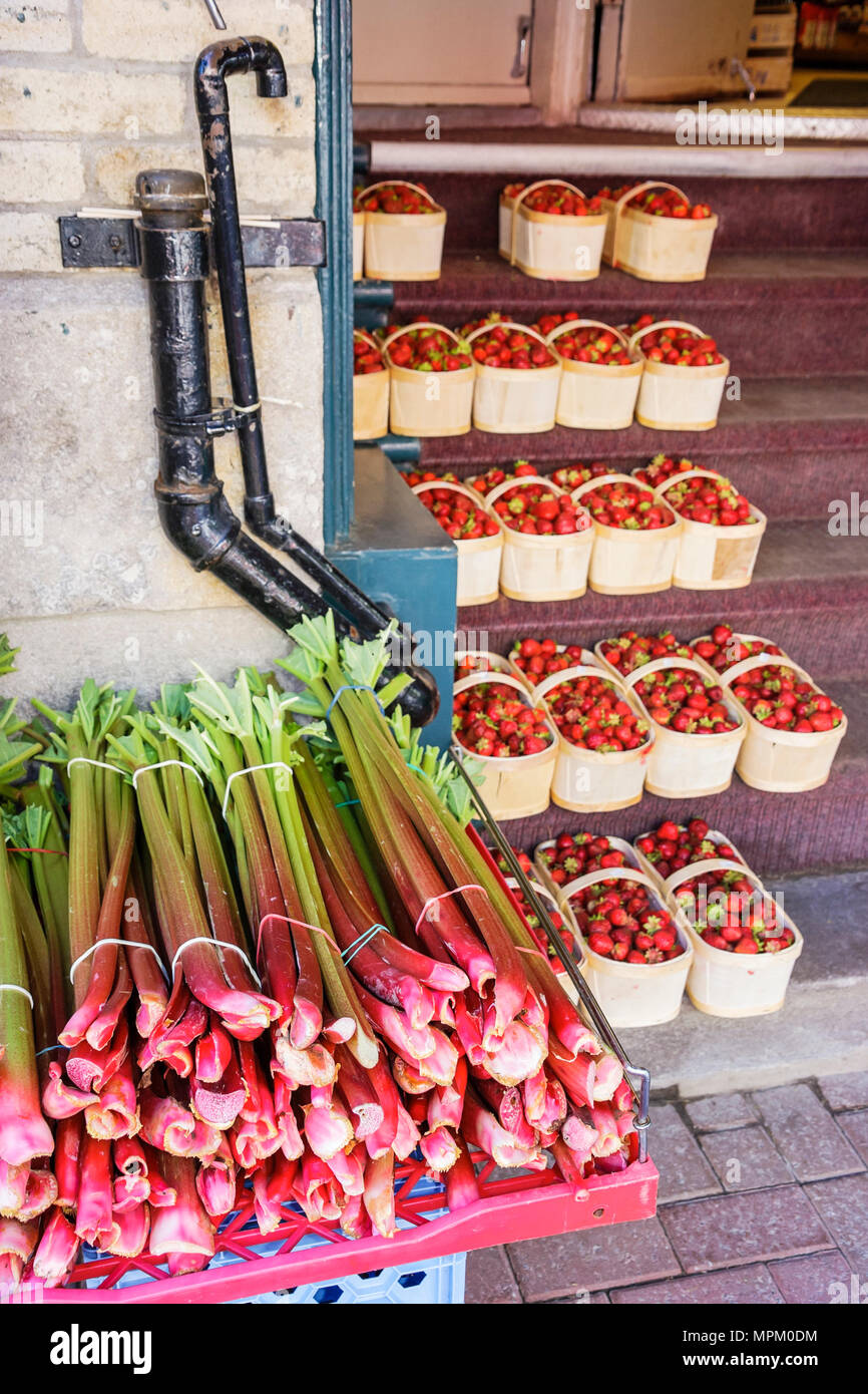 Quebec City Canada,Canada,Nord America,America,America,americana,Rue Saint Jean,rabarbaro,fragole,vendita al dettaglio,vetrina,merce,imballaggio,marche, Foto Stock