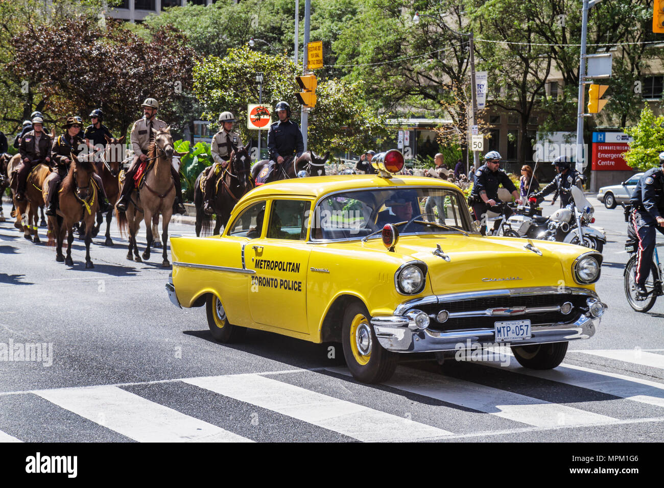 Toronto Canada,University Avenue,giorno equestre della polizia,polizia montata,pubblica sicurezza,forze dell'ordine,cavallo,animale,sfilata,squadra di perforazione,ufficiale,formazione,s Foto Stock