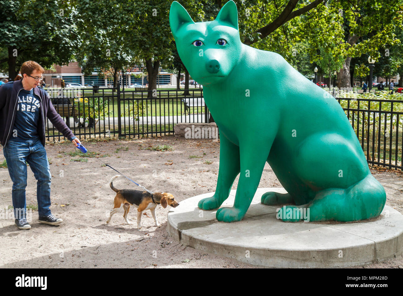 Toronto Canada, Cabbagetown, quartiere storico, immigrati irlandesi, Carlton Street, Allan Gardens, parco, parco cani, recintato, uomo uomini maschio adulti, beagle, p Foto Stock