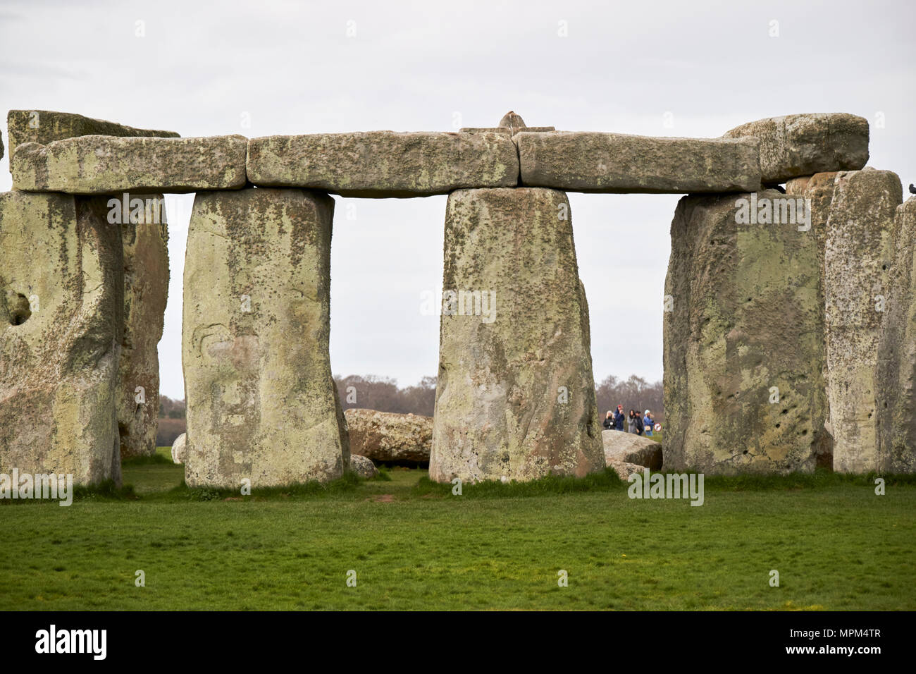 Vista del cerchio di sarsen trilithon pietre dalla avenue stonehenge Wiltshire, Inghilterra Regno Unito Foto Stock