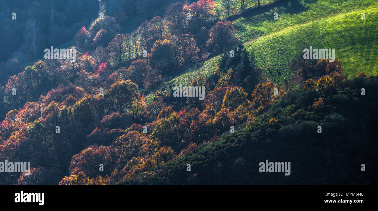 Colorato paesaggio autunnale di prati e boschi di latifoglie, in Becerreá, Lugo, Galizia Foto Stock