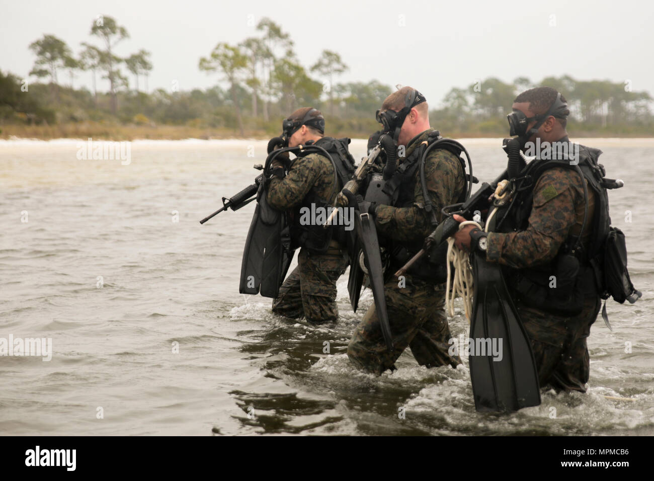 Il personale Sgt. Daniel Franklin (sinistra), team leader, Staff Sgt. Jamie Gill (centro), team leader e Sgt. George Williams (destra), assistente del team leader con forza la terza società di ricognizione, 4° Divisione Marine uscire dall'acqua durante una nave-shore diving funzionamento esercizio in Pensacola Fla., Marzo 23, 2017. L'esercizio incentrato sull'esecuzione di supporto formazione su Marina combattivo dive tattiche. La formazione deve migliorare la società la capacità di condotta inserimento specializzate e attività di estrazione. (U.S. Marine Corps foto di Sgt. Ian Ferro) Foto Stock