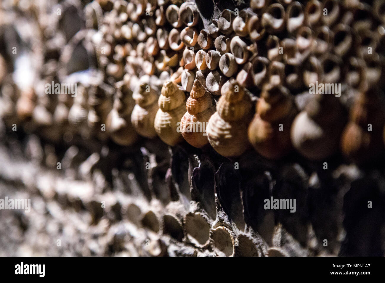 Grotta della Shell nella cittadina balneare Margate, Regno Unito Foto Stock