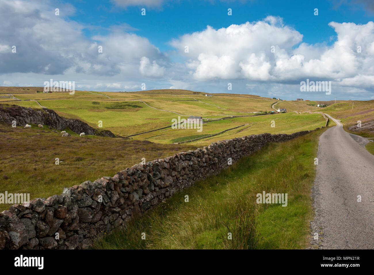 Regno Unito, Scozia, Highland, Sutherland, Assynt, Clashmore, secco muro di pietra Foto Stock