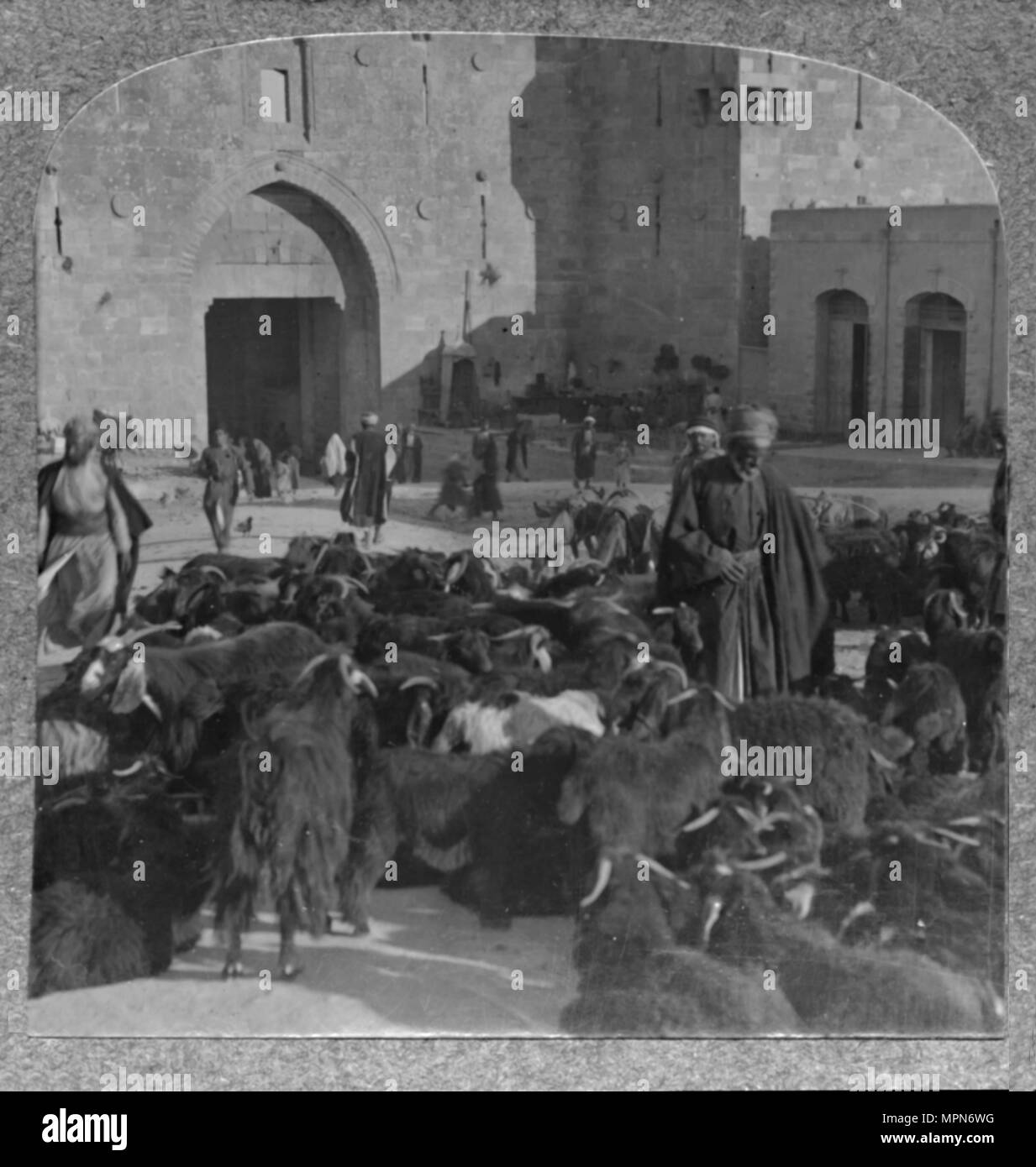 "L'acquisto di capre al Porta di Damasco, Gerusalemme', C1900. Artista: sconosciuto. Foto Stock