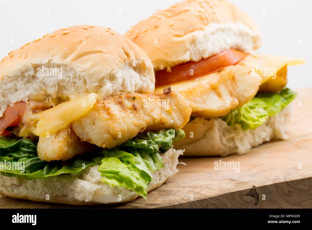 Un filetto di merluzzo giallo, Pollachius pollachius, che è stata rivestita in farina e fritte, servita su un burger panino con lattuga, pomodoro grigliate e fondere Foto Stock