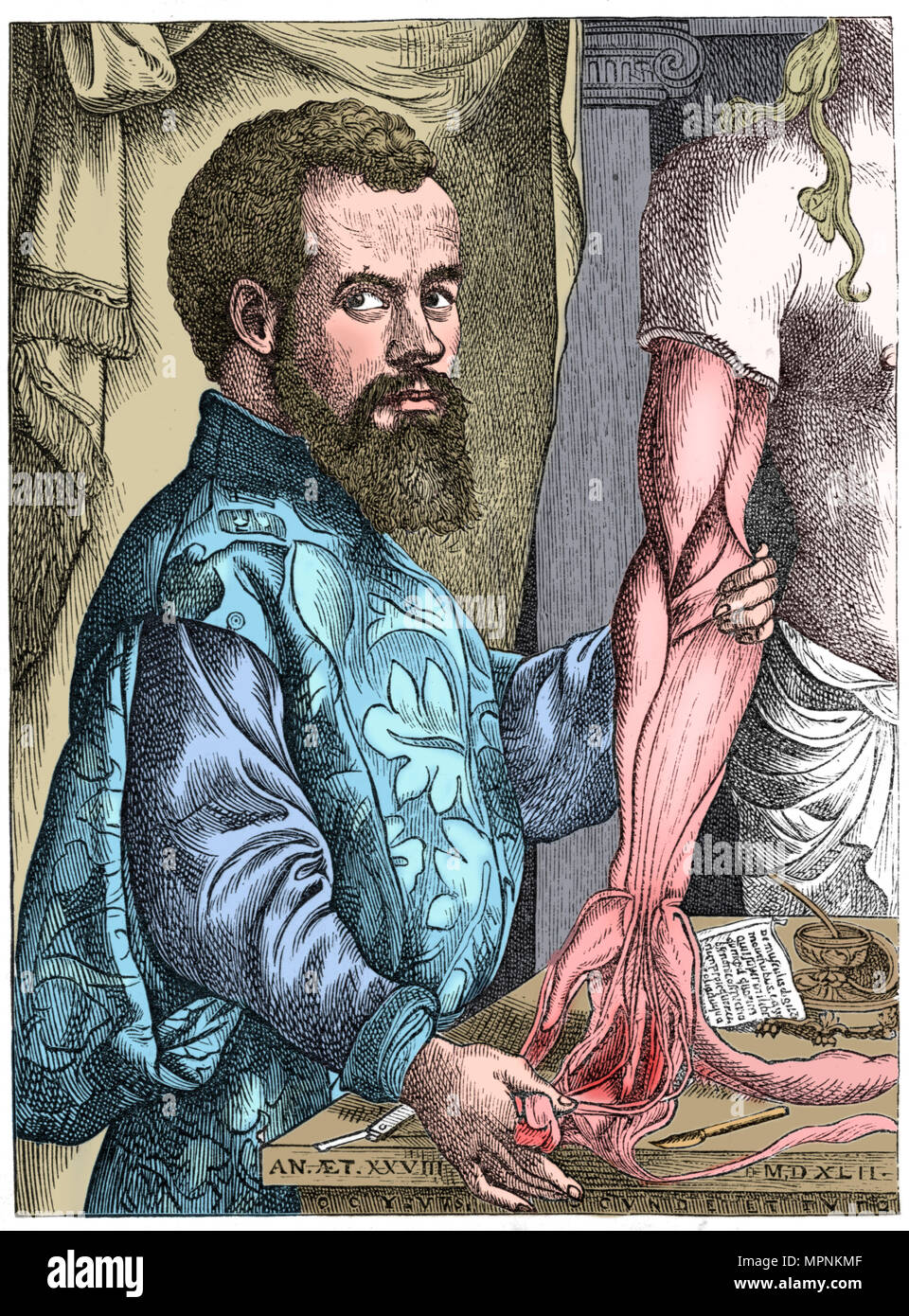 Andreas Vesalius, XVI secolo anatomista fiammingo. Artista: sconosciuto. Foto Stock
