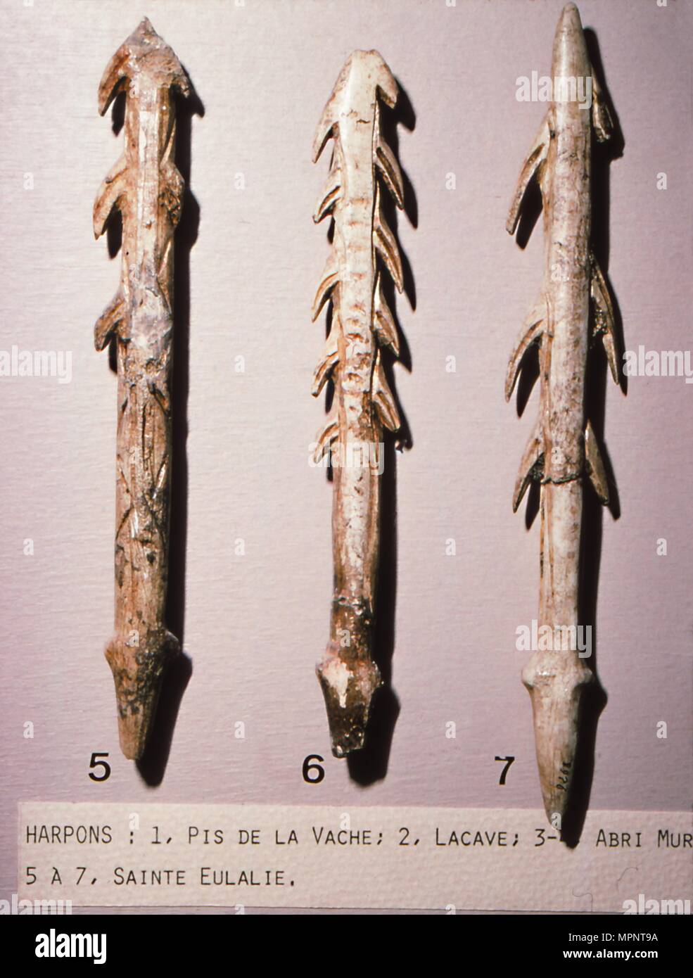Osso arpioni per la pesca, regione Dordogne, Francia, periodo Paleolitico, (c 20 secolo). Artista: sconosciuto. Foto Stock