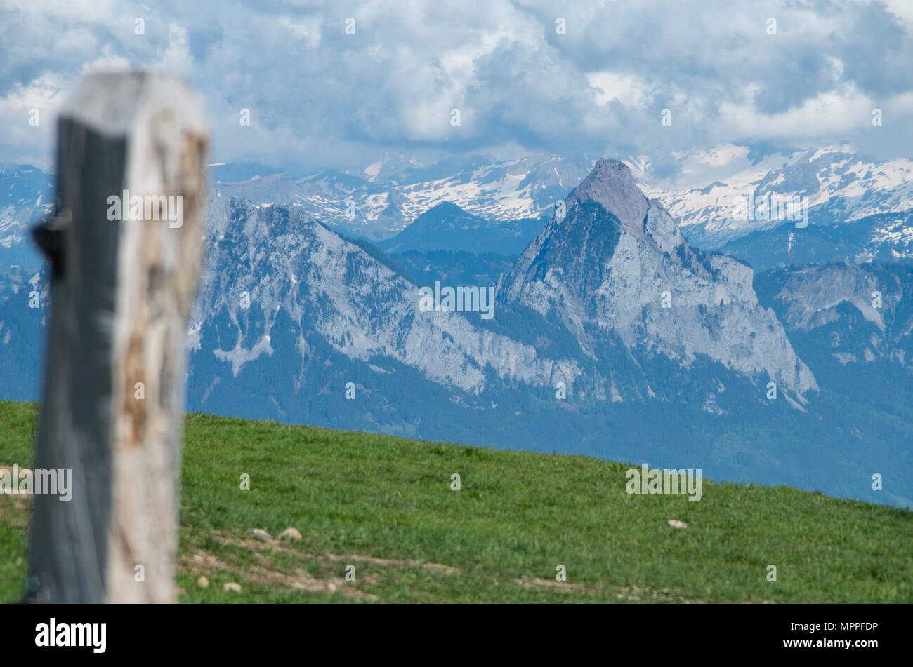 Grosser e Kleiner mythen come visto dal Monte Rigi con un polo al di fuori della messa a fuoco in primo piano su un campo verde Foto Stock