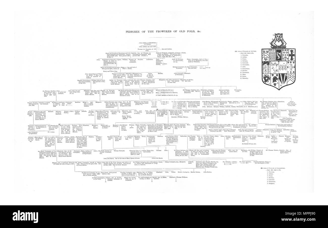 L'albero genealogico dei Frowykes della vecchia piega, 1886. Artista: sconosciuto. Foto Stock