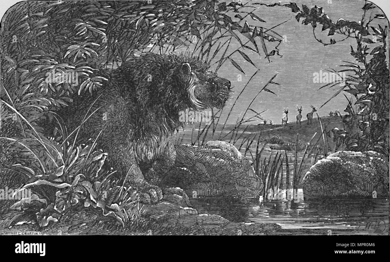 'Attesa per le antilopi', C1900. Artista: Helena J. Maguire. Foto Stock