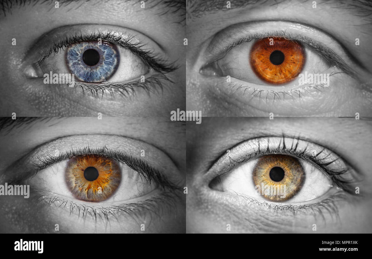 Collage di 4 diversi occhi colorati, macro shot Foto Stock
