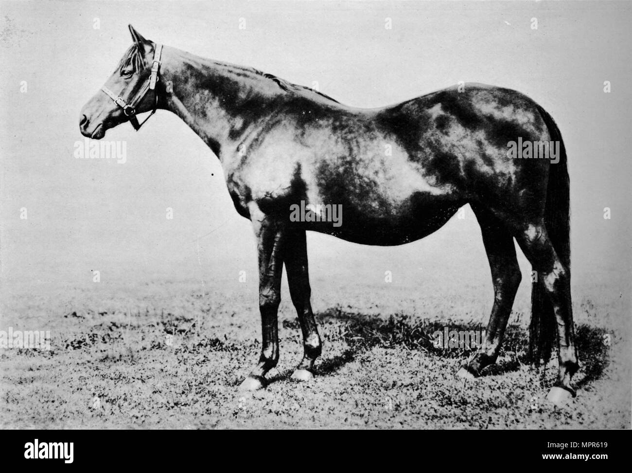 'La Fleche', 1889-1911, (1911). Artista: sconosciuto. Foto Stock