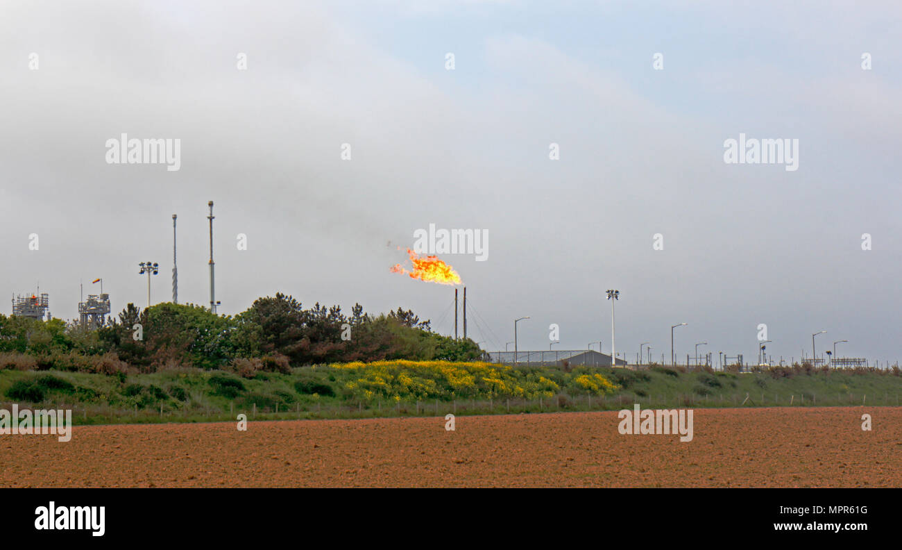 Il gas naturale essendo spento svasata attraverso lo sfogo di pile a Bacton Gas Naturale Terminale, Norfolk, Inghilterra, Regno Unito, Europa. Foto Stock