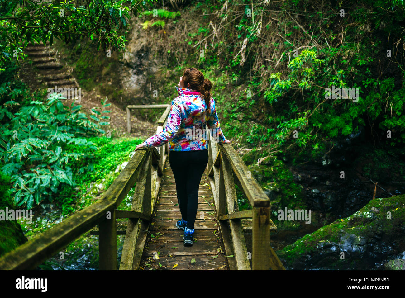 Azzorre, Sao Miguel, Donna che cammina su un ponte di legno attraverso la foresta Foto Stock