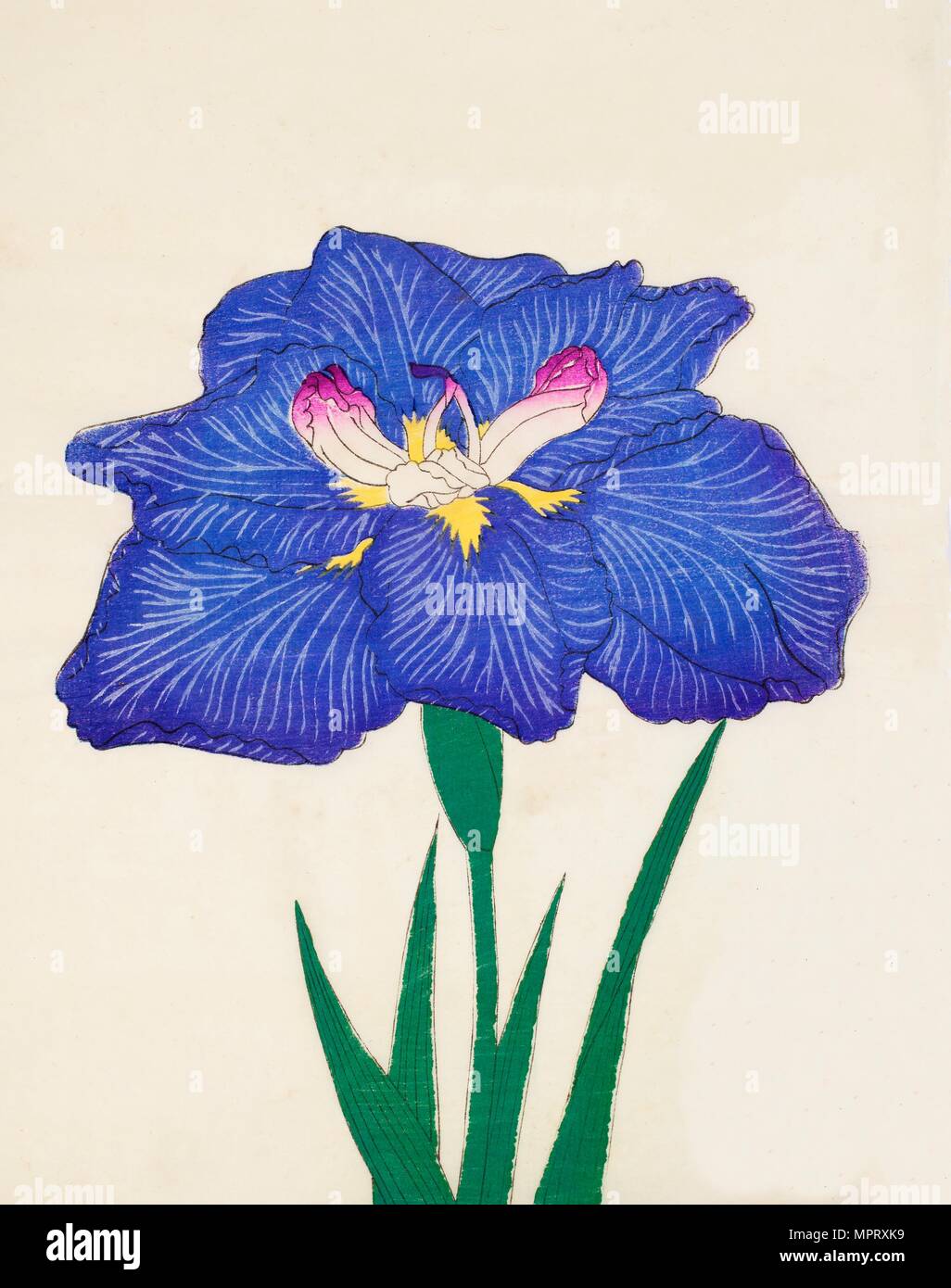 Shiga-No-Uranami, n. 3, 1890, (color woodblock print) Foto Stock