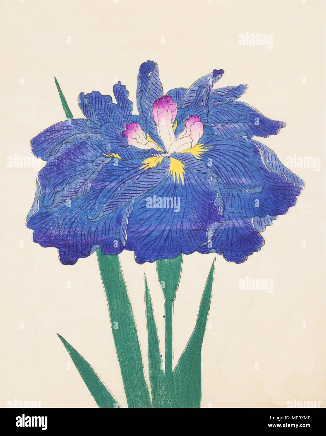 Karako-Asobi, n. 42, 1890, (color woodblock print) Foto Stock