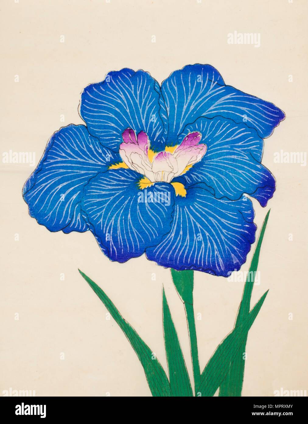 Ushio-No-Kemuri, n. 47, 1890, (color woodblock print) Foto Stock