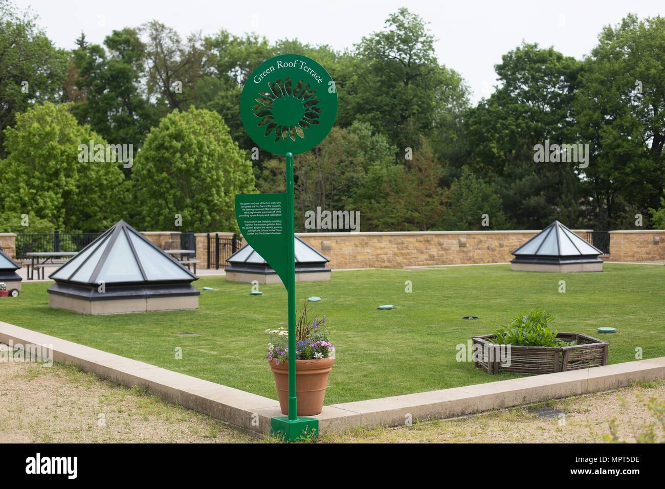 Un tetto verde a Bakken, Museo di Minneapolis, Minnesota, Stati Uniti d'America. Foto Stock