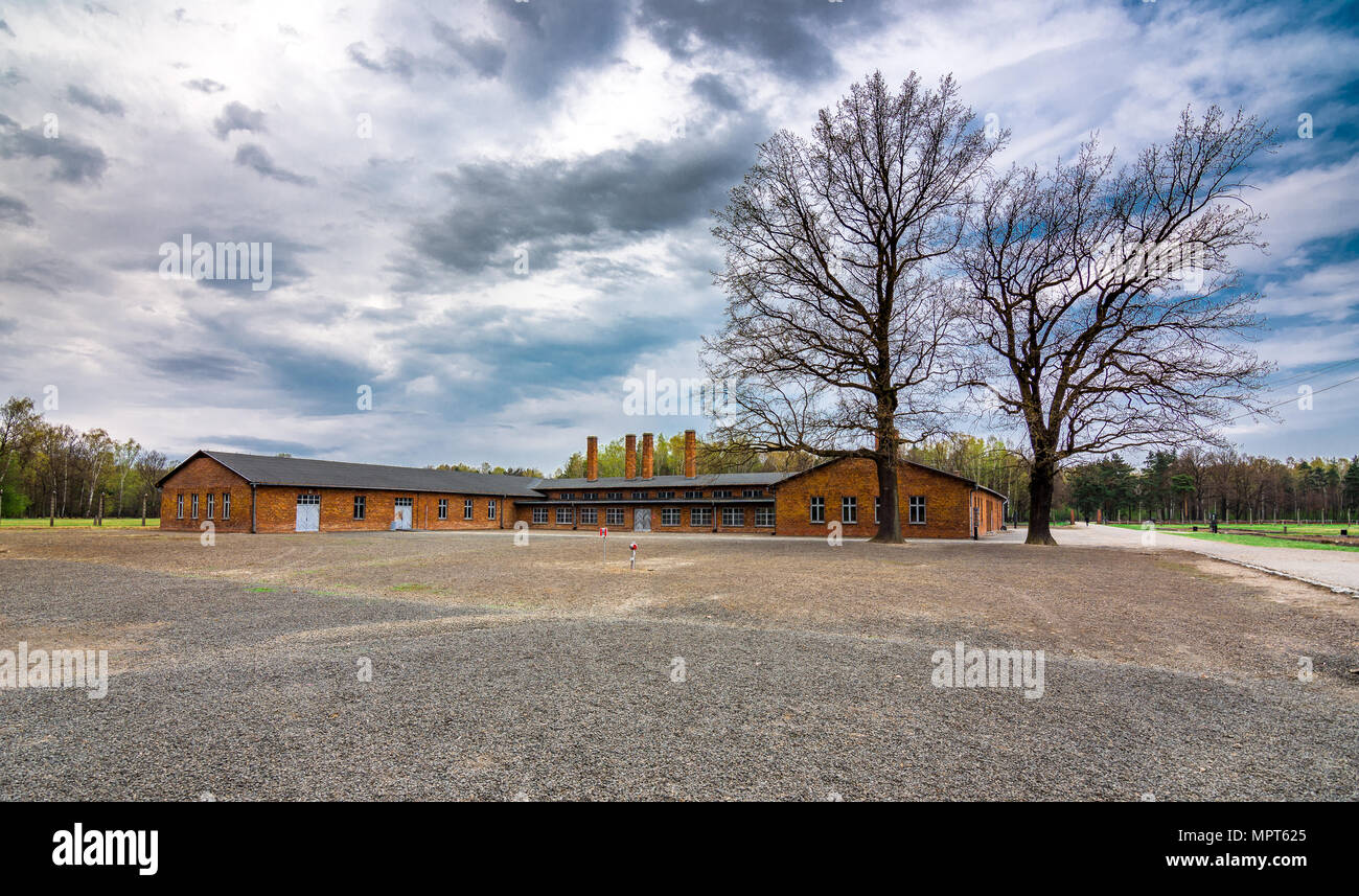 Distrutto crematorio di Auschwitz Birkenau campo di concentramento, Polonia Foto Stock