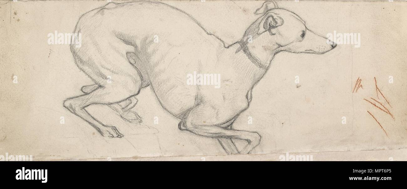 Studio di un levriero, a metà del XIX secolo. Artista: Ford Madox Brown. Foto Stock