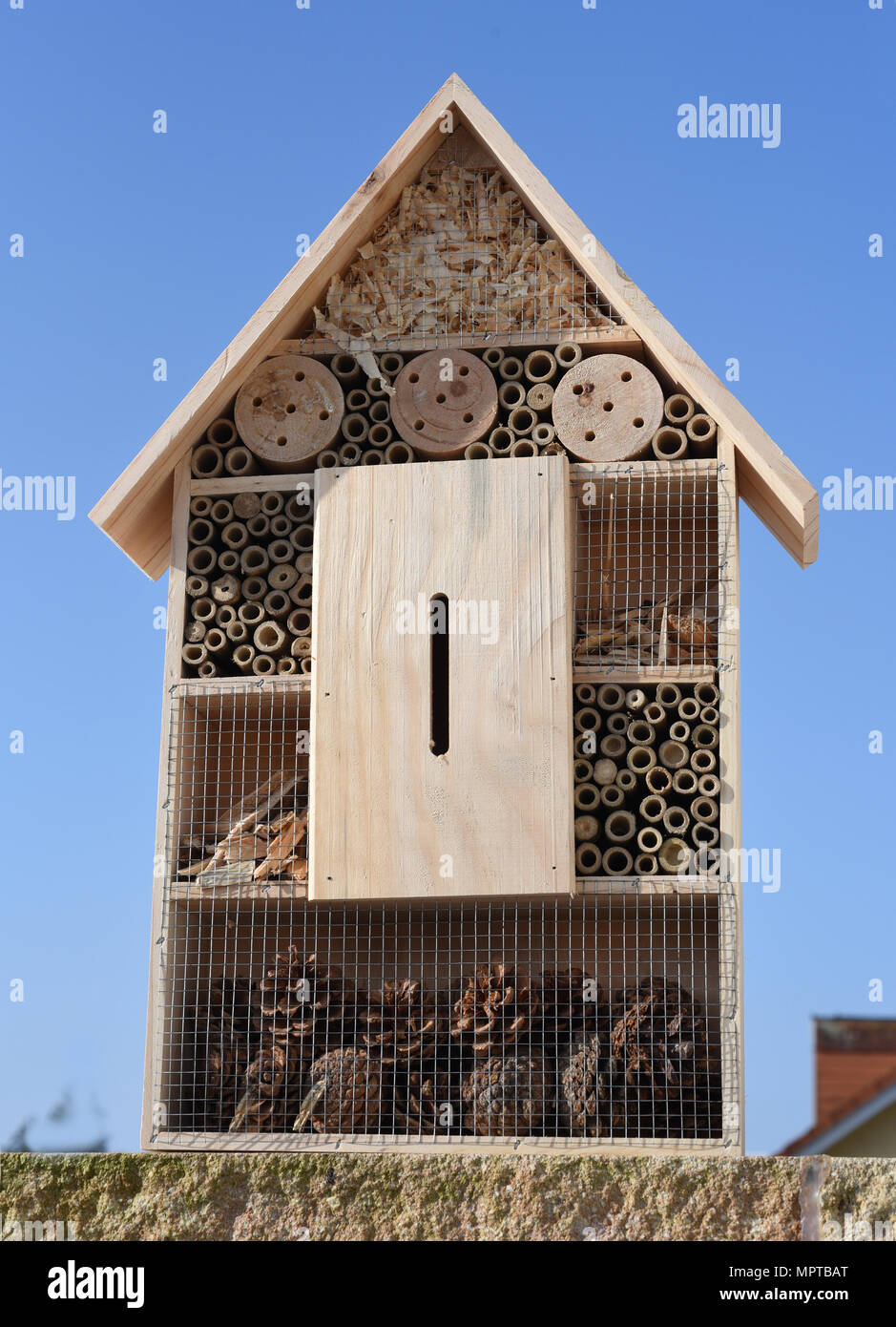 Insektenhotel, Insektenunterschlupf Foto Stock