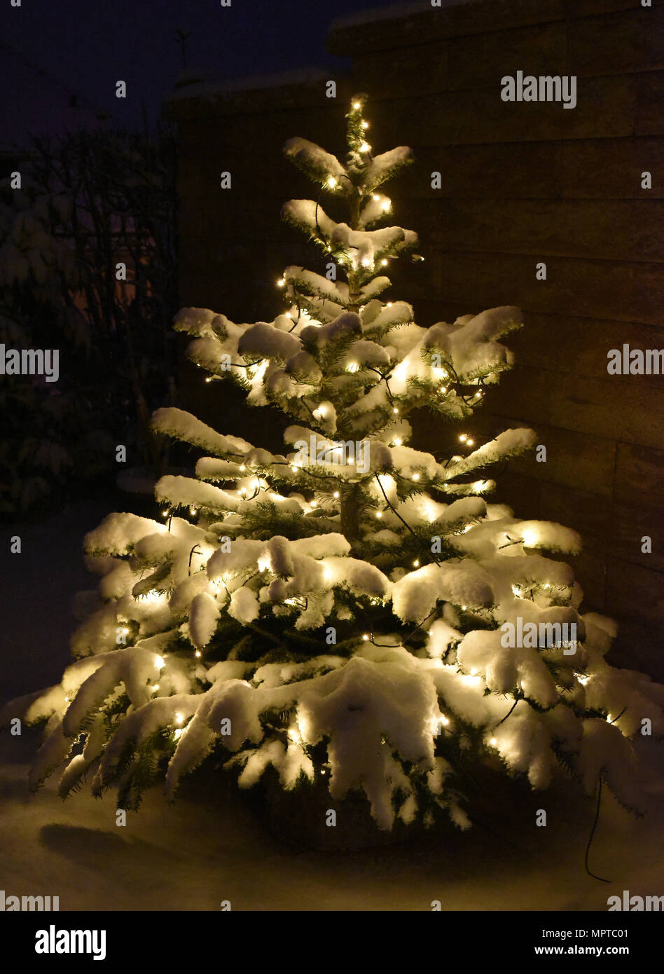Weihnachtsbaum, Tannenbaum, Christbaum Foto Stock