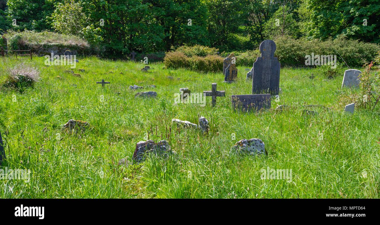 In disuso calma pacifica ed incolto o cimitero cimitero castlehaven in Irlanda, con il marcatore grave pietre ricoperto da erba. Foto Stock