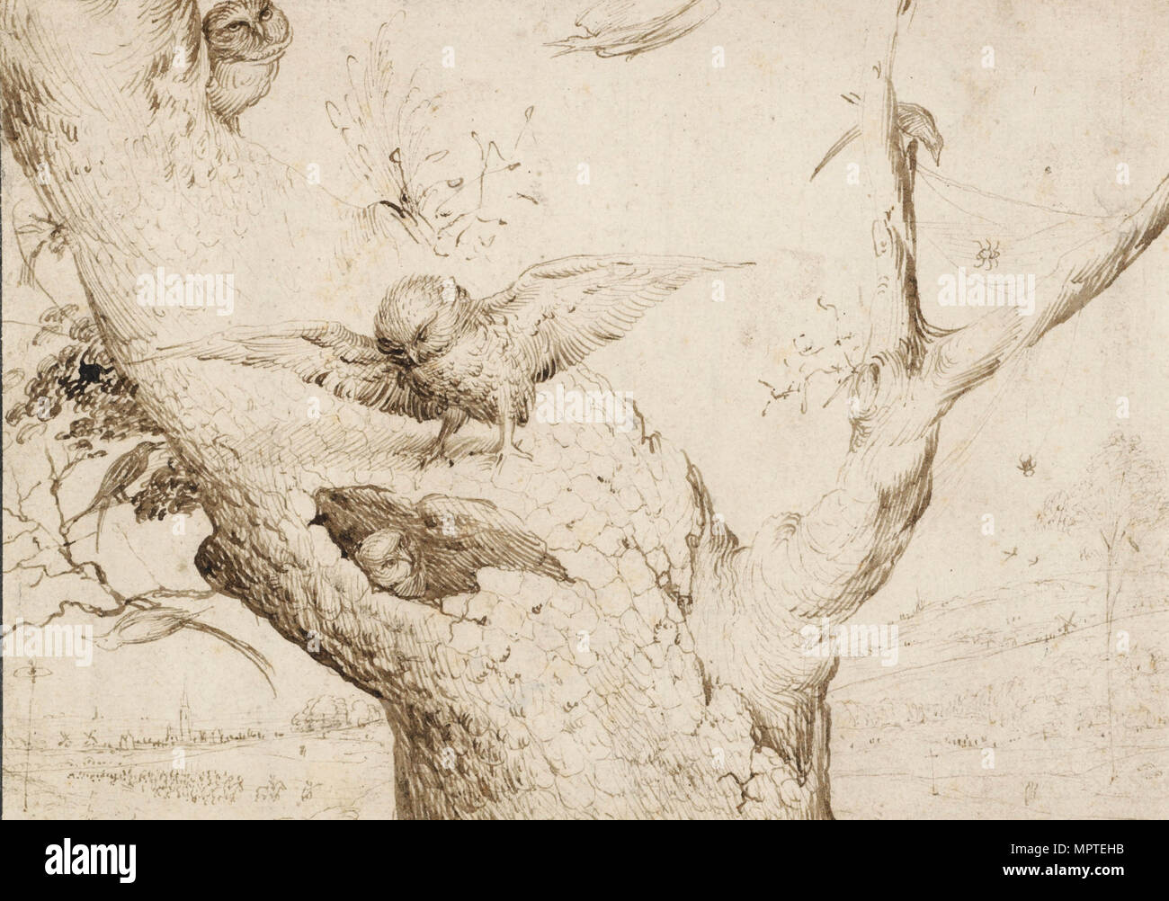 Il Gufo's Nest, ca. 1505-1510. Foto Stock