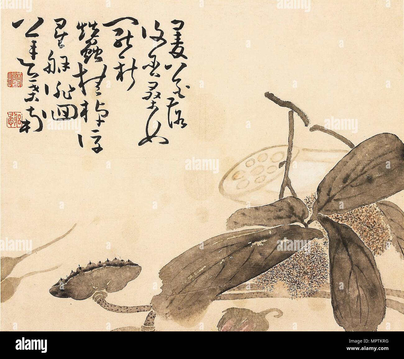 Dipinto di album leaf - pianta di loto del XVIII secolo. Artista: Huang Shen. Foto Stock