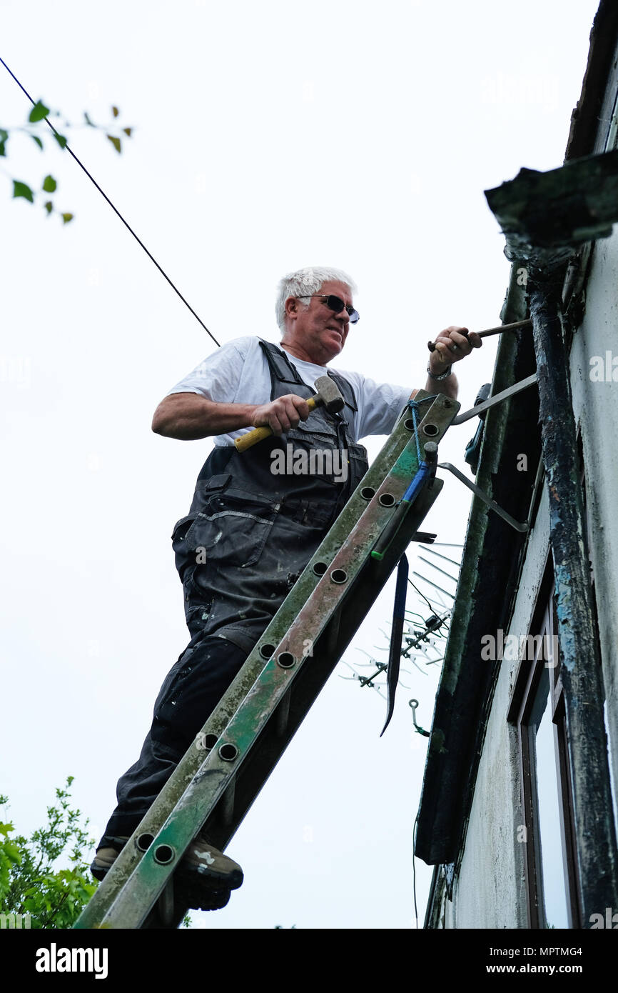 Un costruttore di lavorare su una scala la riparazione della grondaia di una casa. Foto Stock