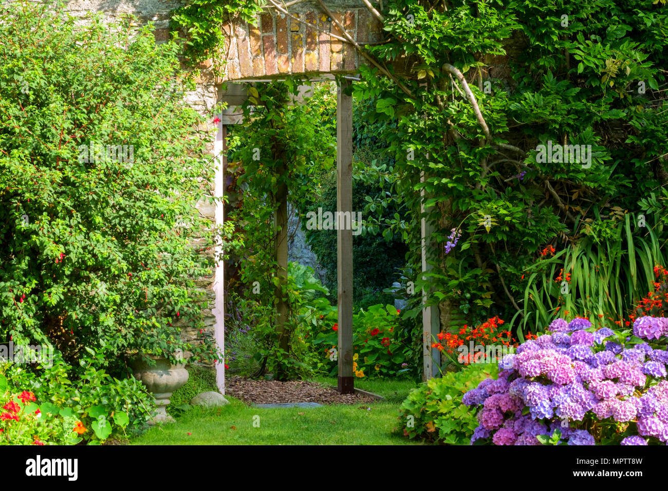 Giardini del Regno Unito. Una bella estate giardino murato aiuola di confine display comprendente vari ortensie. Una porta aperta mostra uno scorcio di un walled garden vegetali al di là. Foto Stock