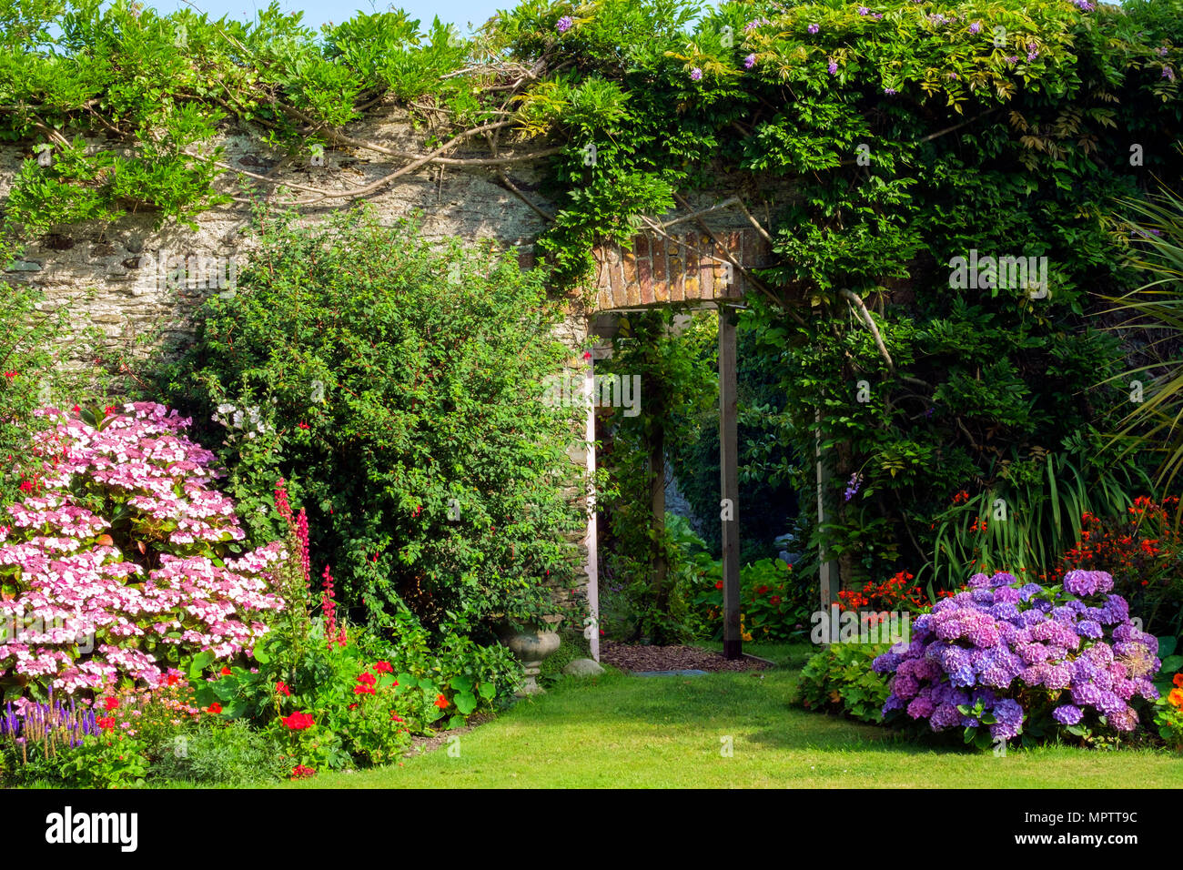 Giardini del Regno Unito. Una bella estate giardino murato aiuola di confine display comprendente vari ortensie. Una porta aperta mostra uno scorcio di un walled garden vegetali al di là. Foto Stock