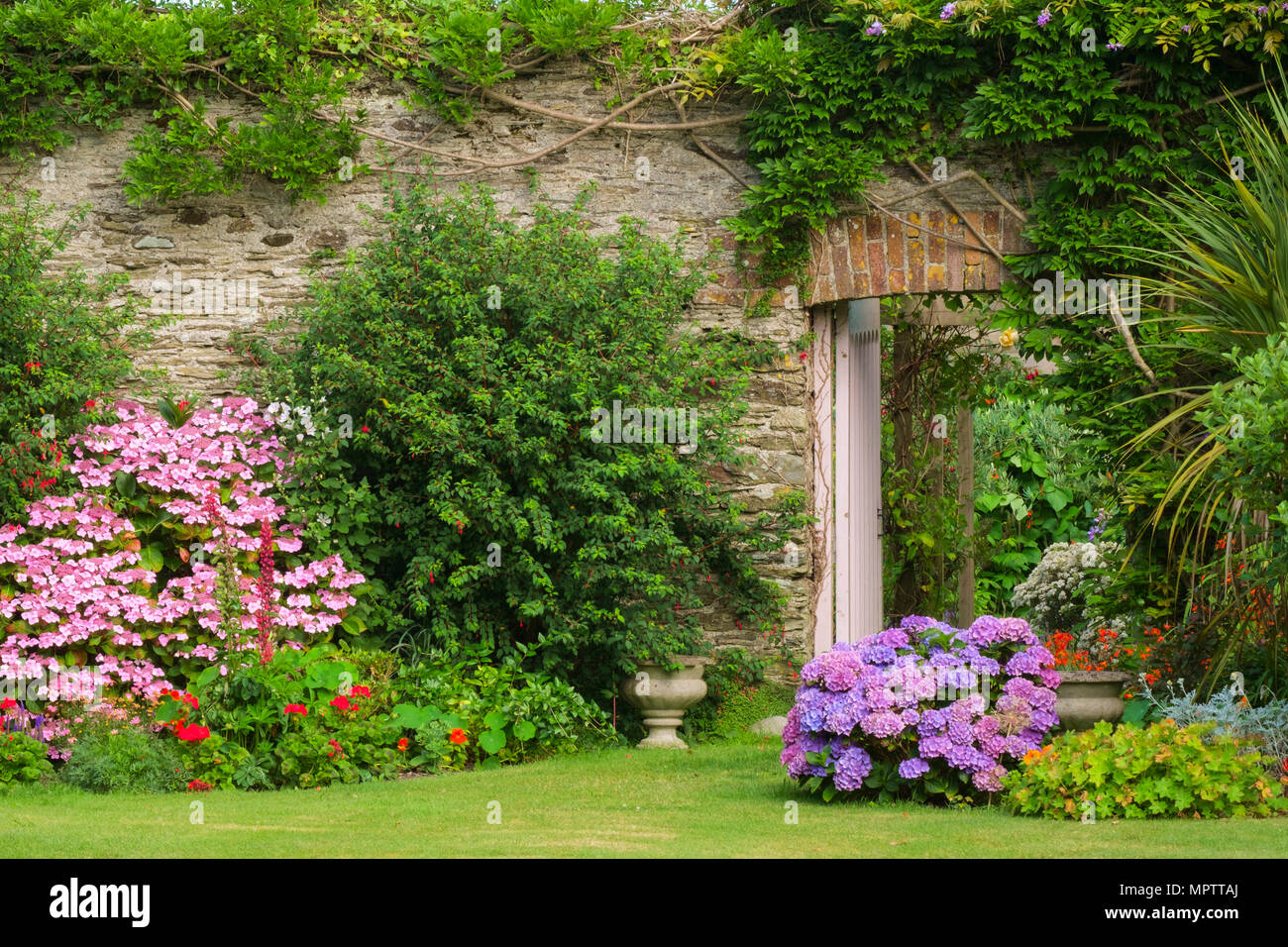 Giardini del Regno Unito. Una bella estate giardino murato aiuola di confine display comprendente vari ortensie. Una porta aperta mostra uno scorcio di un walled garden vegetali al di là. Foto Stock