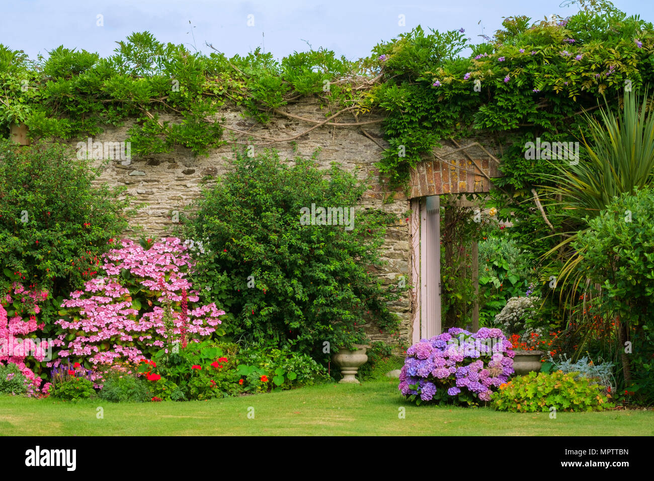 Giardini del Regno Unito. Una bella estate giardino murato aiuola di confine display comprendente vari ortensie. Una porta aperta mostra uno scorcio di un walled garden vegetali al di là. Foto Stock